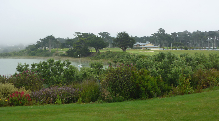 Harding Park Golf Picture