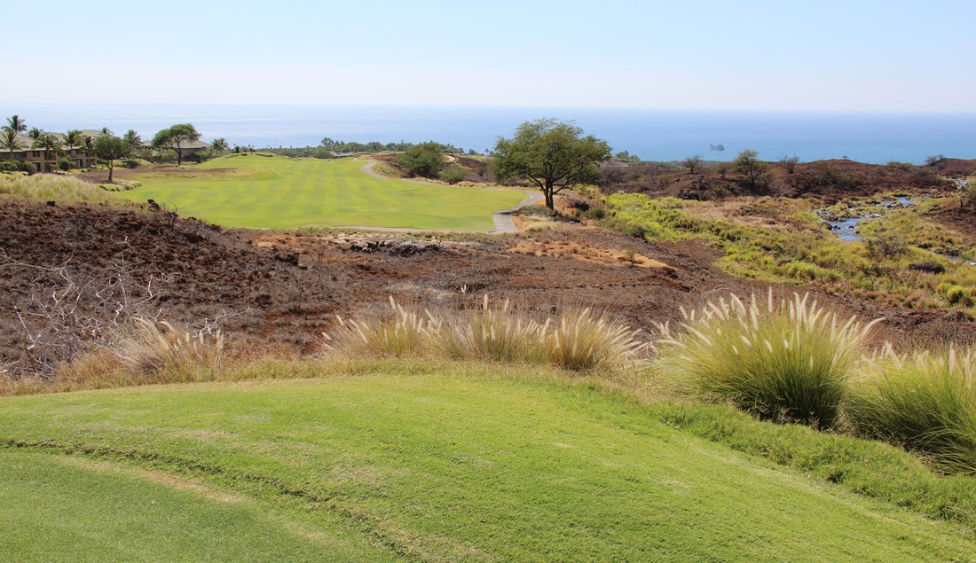 Top Par Five Photo, Best Golf Course Photo, Golf top 10 photo, Top Golf Hole Photo, Big Island Golf Photo, Hawaii Golf Photo, Hapuna Golf Photo, Hapuna #11 Picture