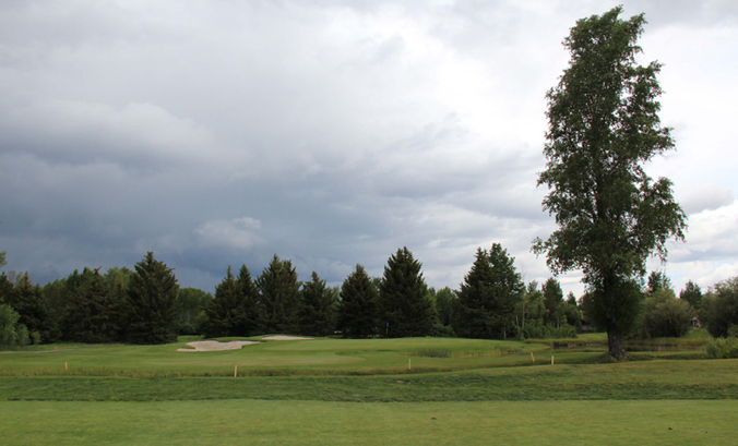 Jackson Hole Golf Course #2 Picture
