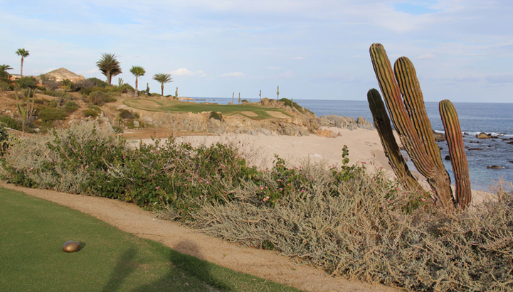 Cabo Top Golf Photo