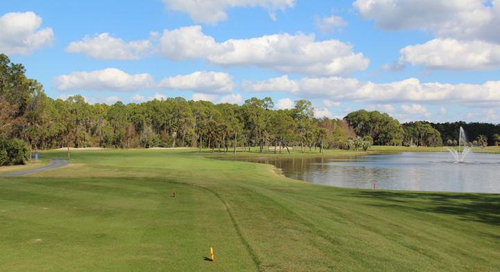 Orlando Golf #13 Photo