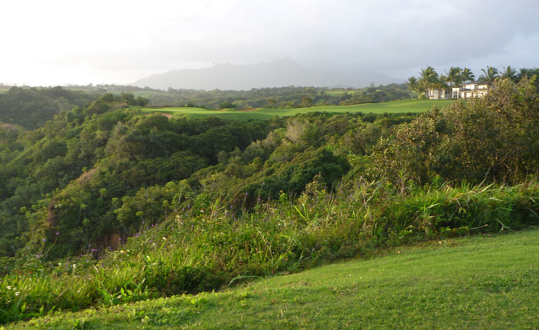 Princevill Prince Photo, Princeville Prince Golf Picture, Top Golf Course Photo, Top Golf Hole Photo, Hawaii Golf Photo, Kauai Golf Photo