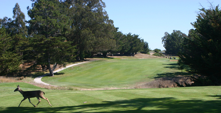 Crystal Springs Golf Review Photo