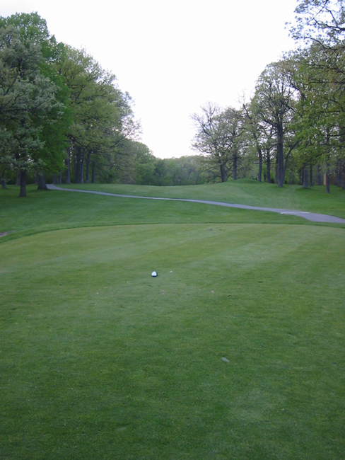 Eaglewood Golf #4 Picture