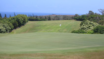 Maui Golf Review Picture