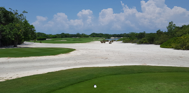 Cancun Golf Review Picture