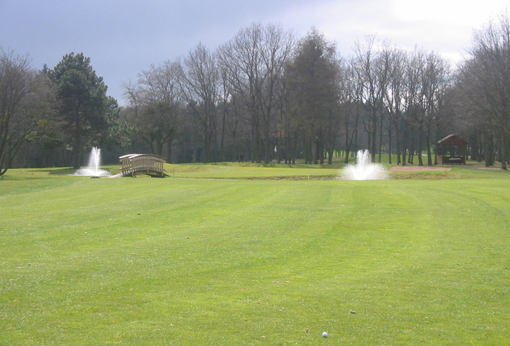 Dijon Golf review Picture