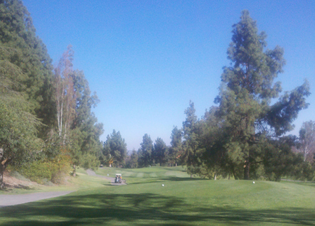 Industry Hills Babe Golf Course Hole #7 Picture