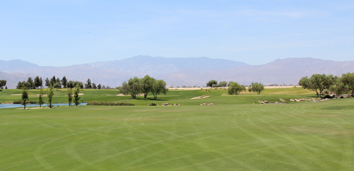 Palm Springs Golf Review Picture