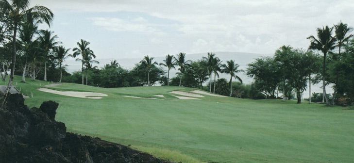 Maui Golf Photo, Wailea Emerald Picture #4 Photo