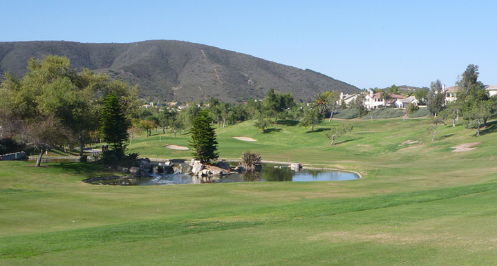 Twin Oaks Golf Review Picture