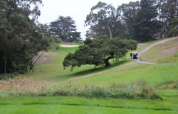 Presidio Golf Picture, San Francisco Golf Photo