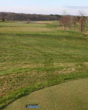 Beechtree Golf Review Picture