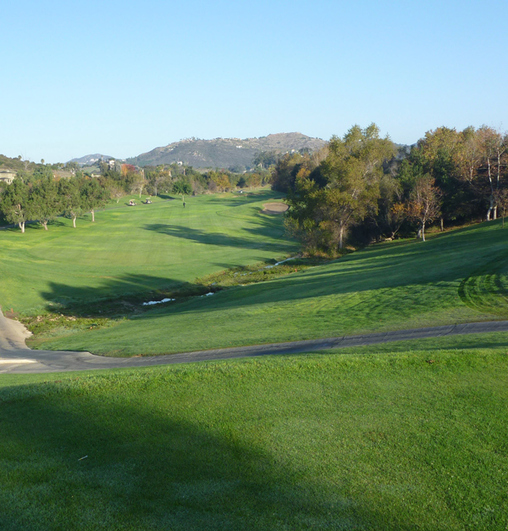Twin Oaks Golf Review Picture