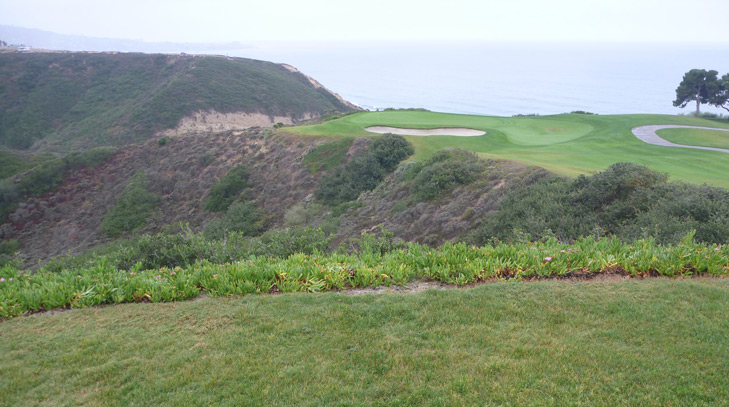 torrey pines south review Picture, torrey pines south #3 photo