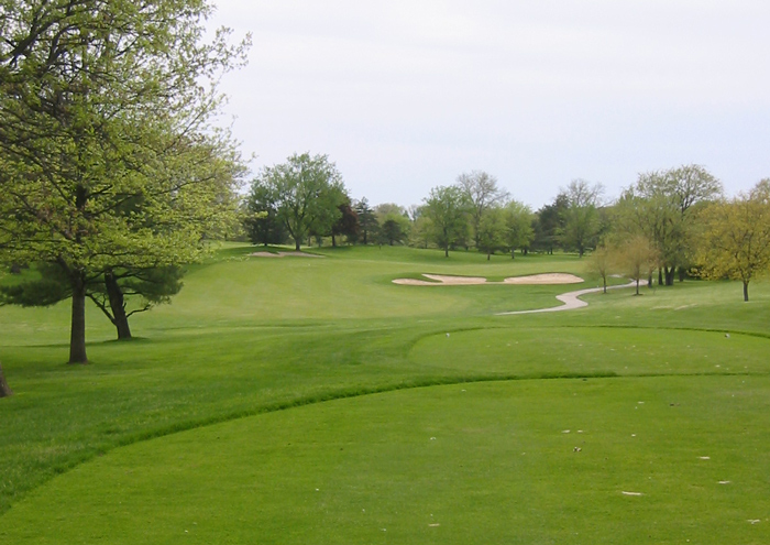 Cog Hill Golf Hole #4 Picture