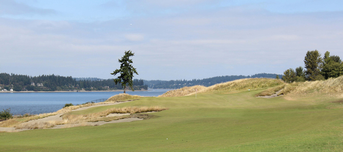Chambers Bay Golf Course #2 Picture