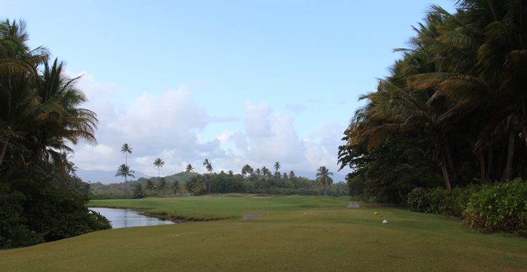 Puerto Rico Golf review Picture