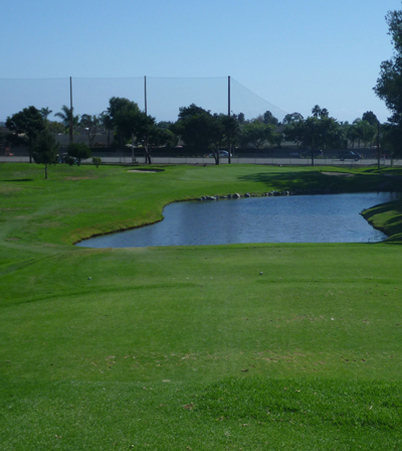 Meadowlark Golf Review Picture