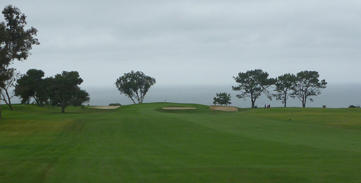 Torrey Pines Golf Review Picture