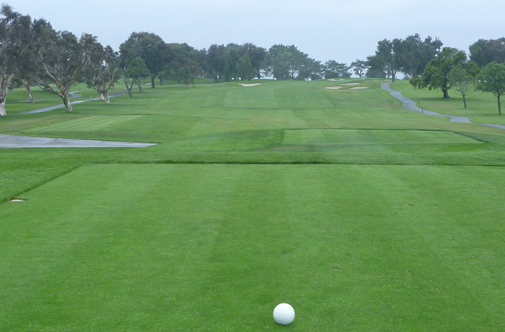 torrey pines south review Picture, torrey pines south #1 photo