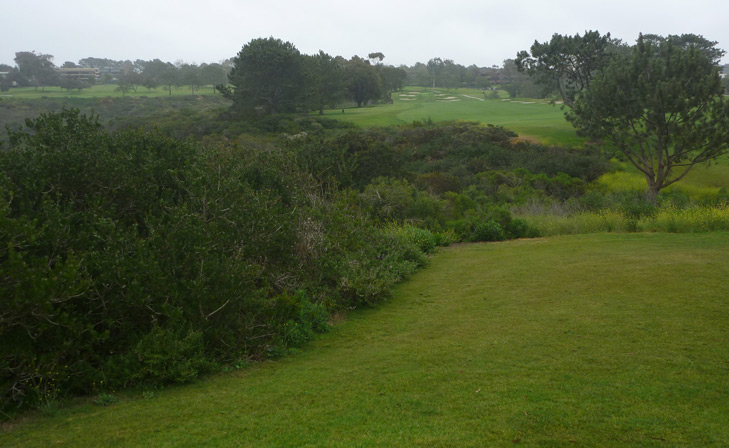 torrey pines south review Picture, torrey pines south #13 photo
