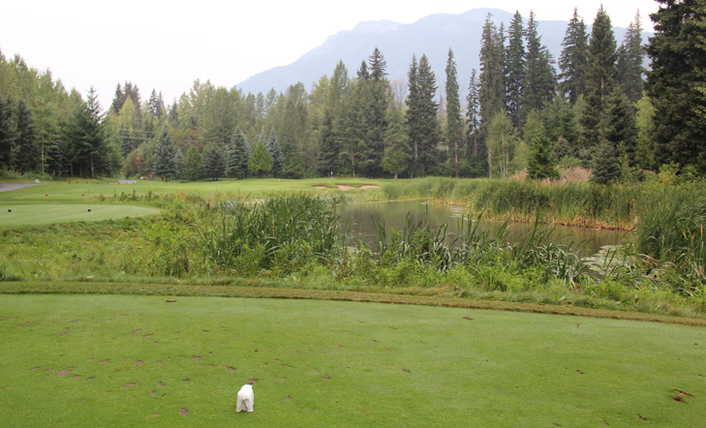 Nicklaus North golf review Picture