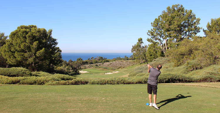 Pelican Hill Golf Picture