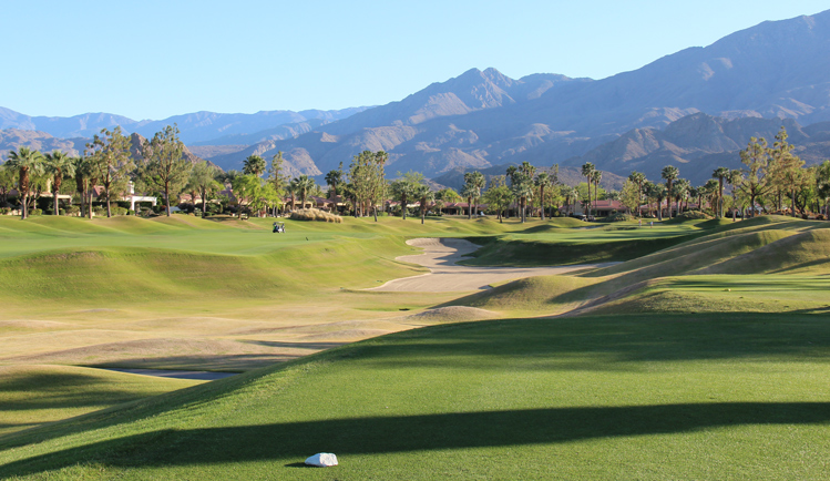 Palm Springs Golf Picture