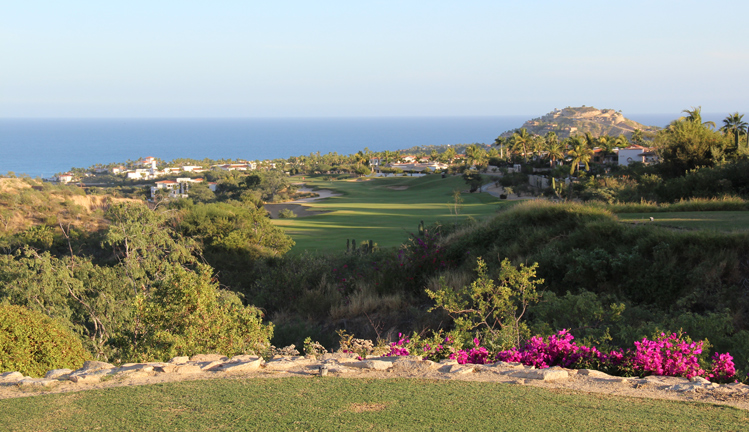 Palmilla Cabo Top Golf Picture