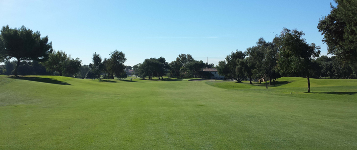 Sea Cliff Golf Review Picture