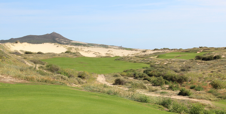 Diamante Dunes Golf Picture