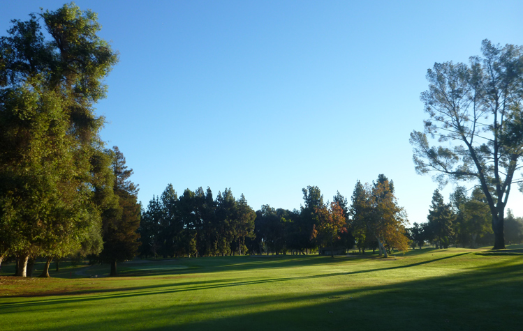 Balboa Golf Course Review Picture