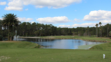 florida golf review Picture