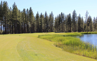 Top Truckee Golf Picture