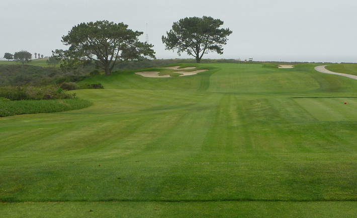torrey pines south review Picture, torrey pines south #16 photo