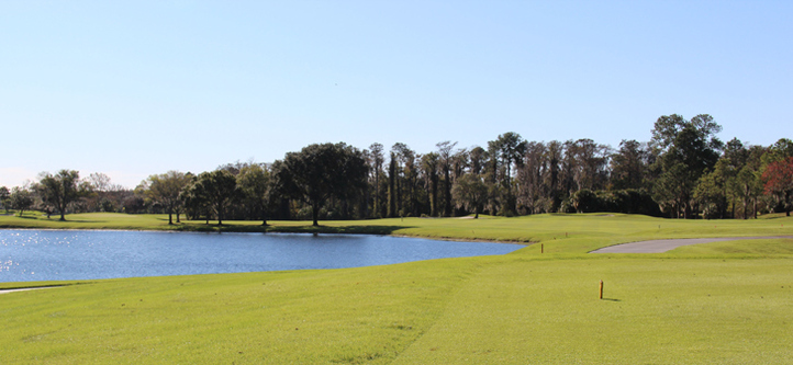 Disney Magnolia Golf Course #17 Photo