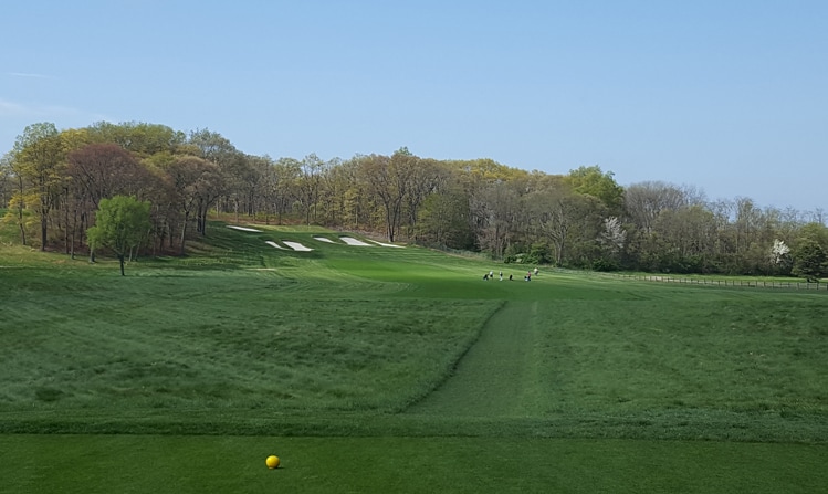 Bethpage Black #15 Picture