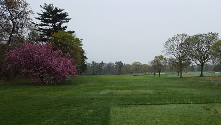 Bethpage Red Hole 15 Picture