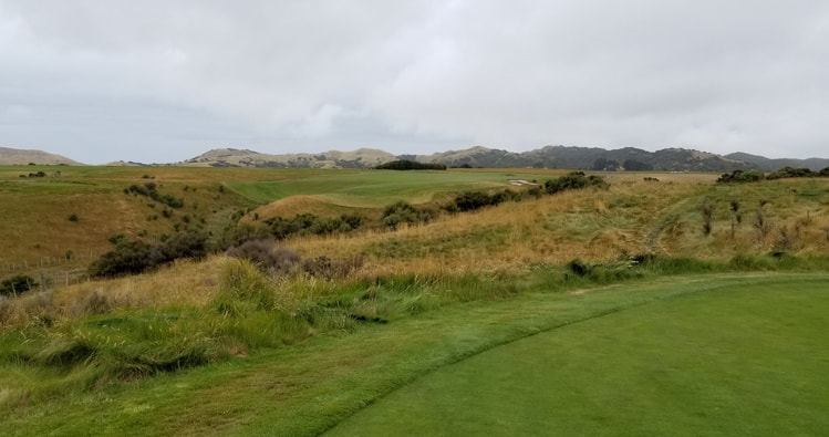 Cape Kidnappers Golf #14 Picture