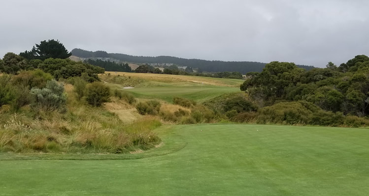 Top New Zealand Golf Picture