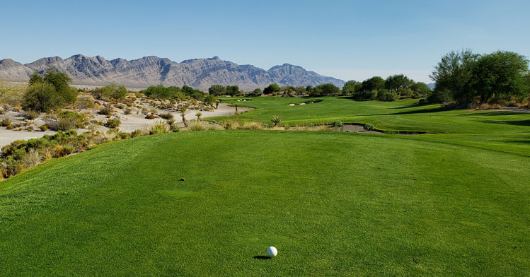 Coyote Springs Golf Hole #13 Picture