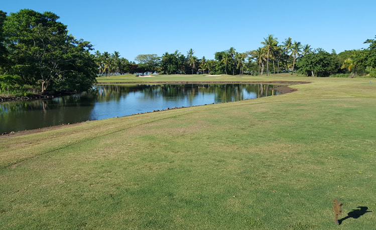 Denarau Golf Course Hole #11 Picture