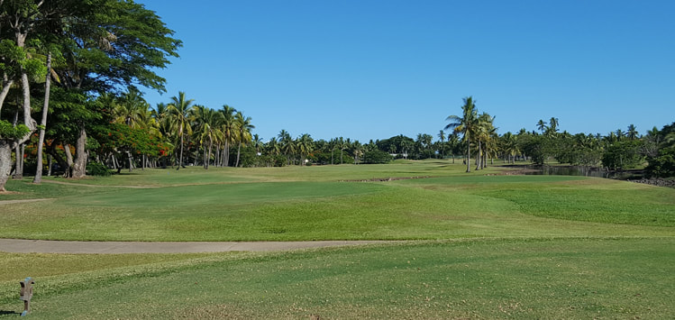 Denarau Fiji Golf Club #18 Picture