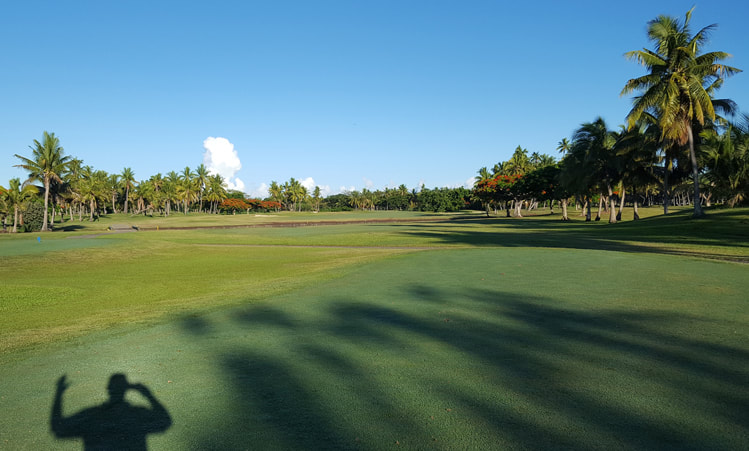 Fiji Golf Picture