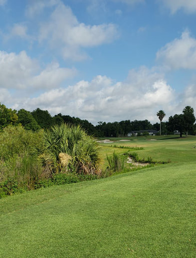 Orlando Golf Picture