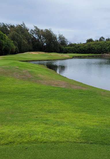 Turtle Bay Palmer Golf Hole #13 Picture