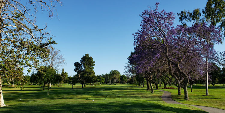 Long Beach Golf Course Review Picture