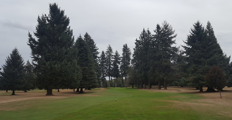 Golf Club of Oregon Hole #7 Picture