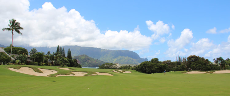 Kauai Golf Picture
